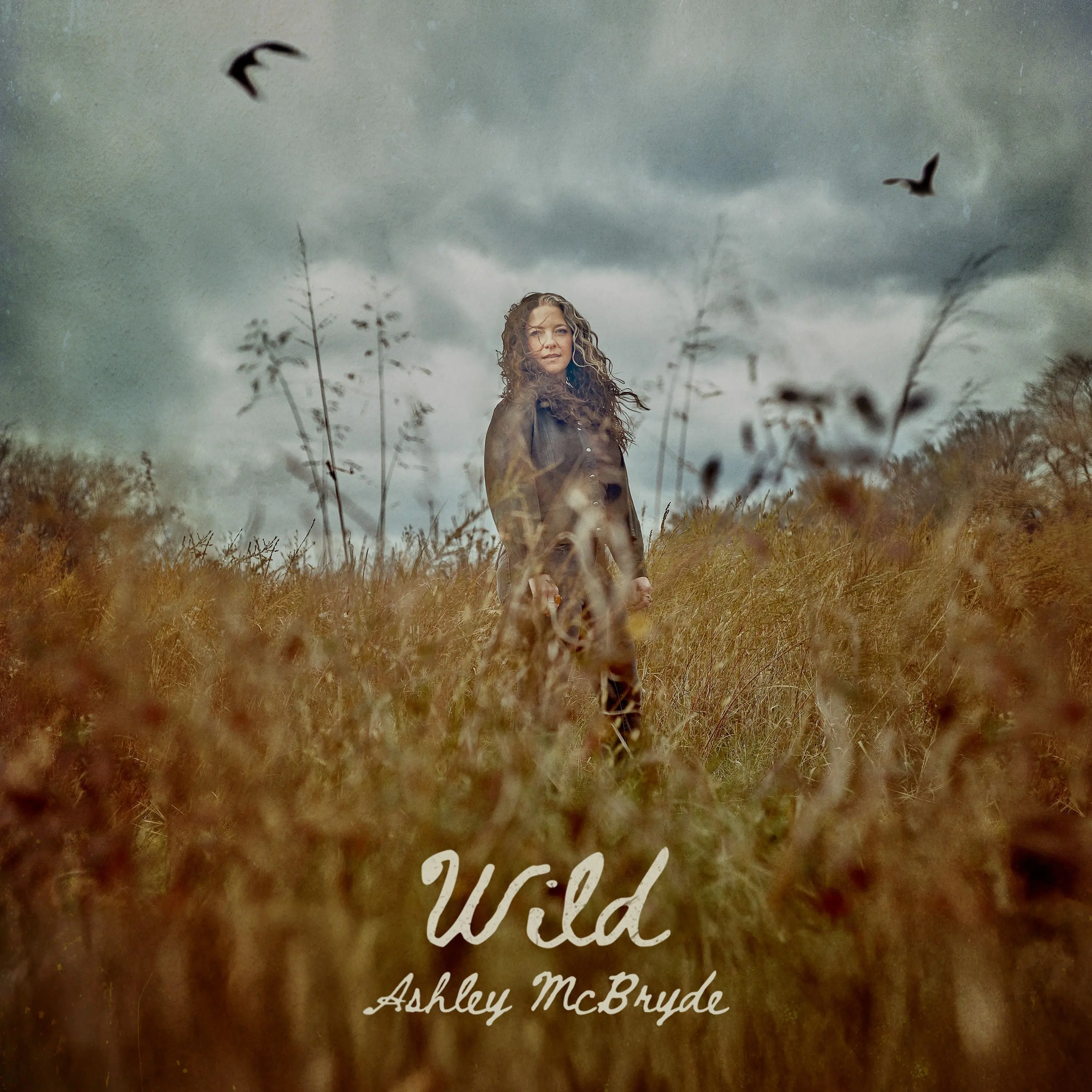 Ashley McBryde - Wild (New Vinyl)