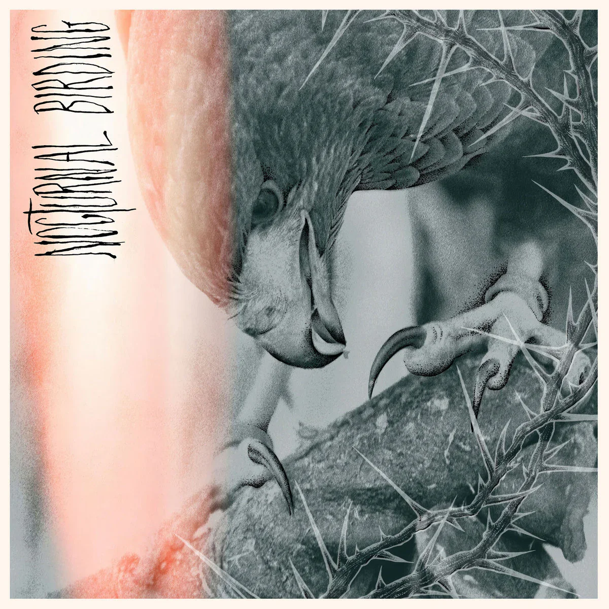 Author & Punisher - Nocturnal Birding (New CD)