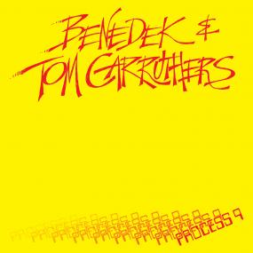 Benedek & Tom Carruthers - Process 9 (New Vinyl)
