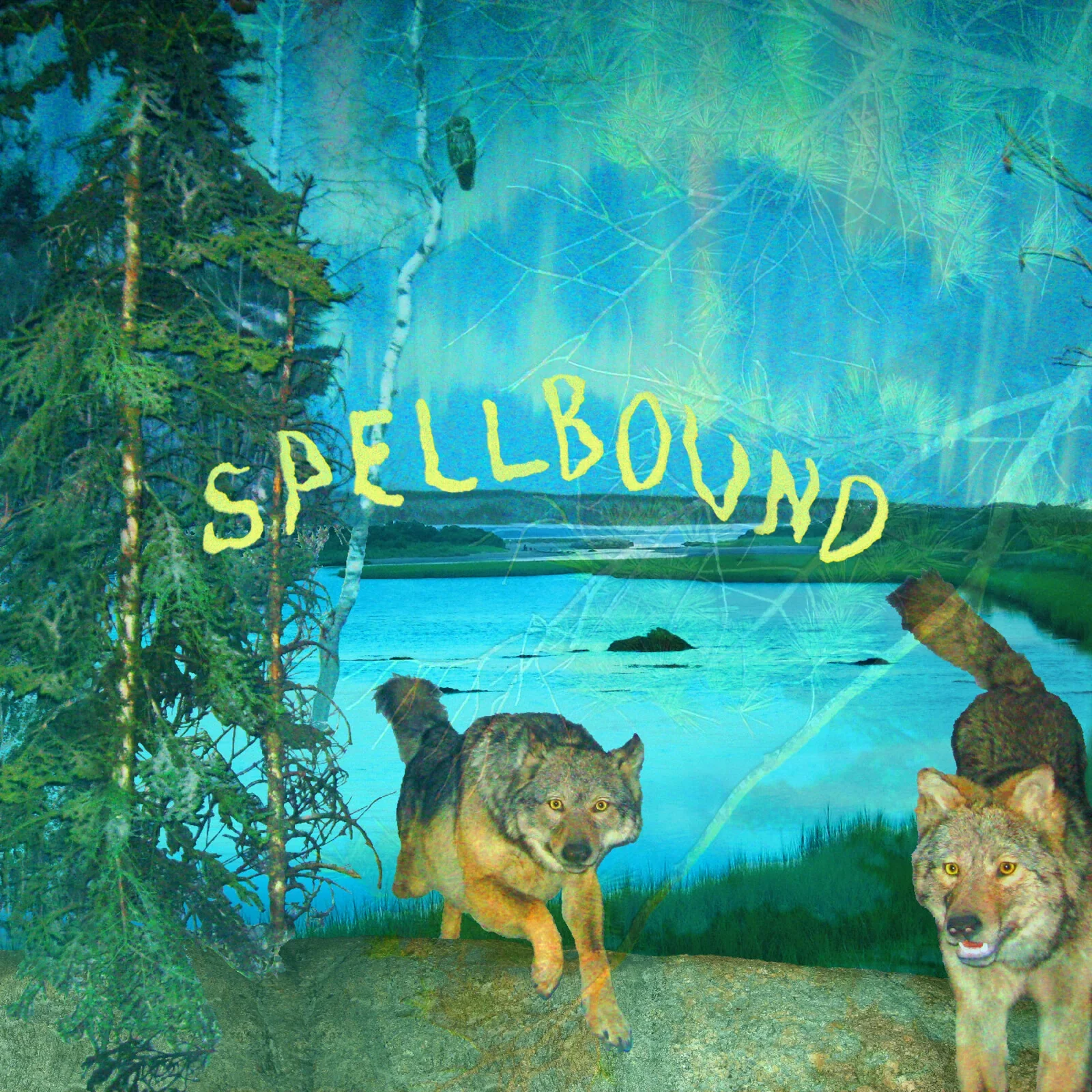Boyscott - Spellbound (New Vinyl)
