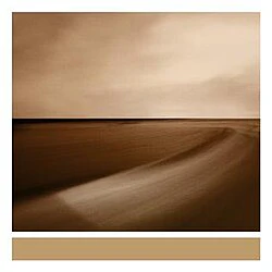 Brian Eno - Small Craft On A Milk Sea (RSD 2026) (New Vinyl)
