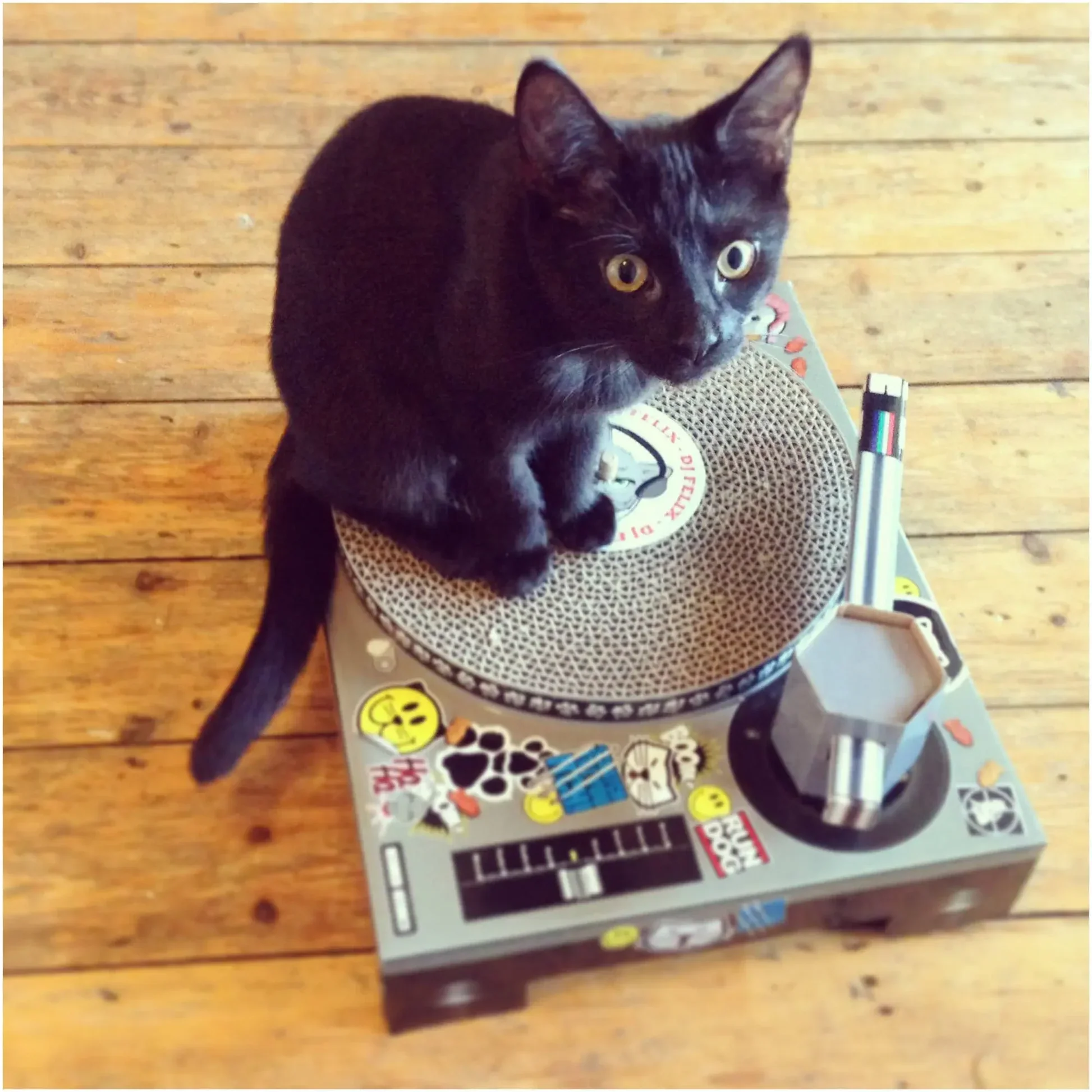 Cardboard Turntable Cat Scratch Pad - Image 2