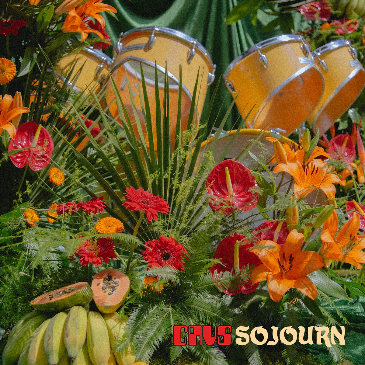Cavs - Sojourn (New Vinyl)