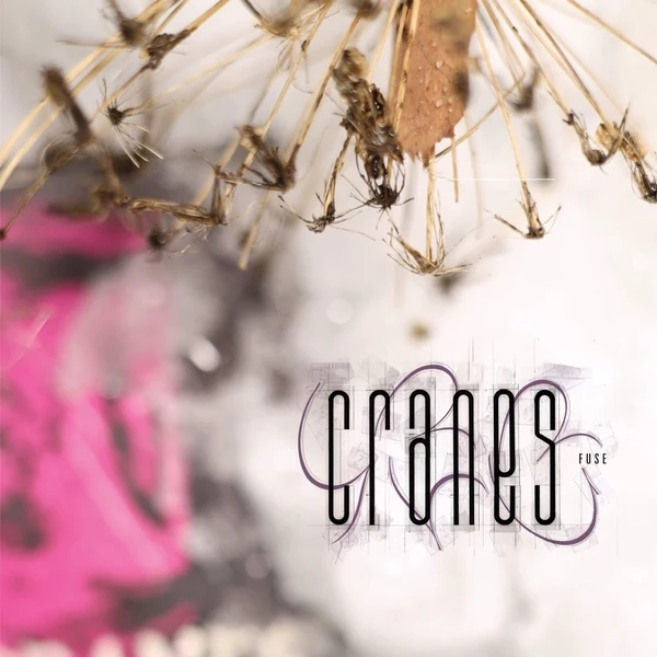 Cranes - Fuse (Magenta Colour) (New Vinyl)