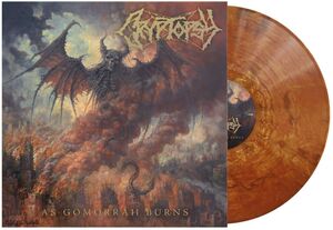 Crytopsy - As Gomorrah Burns (Copper Vinyl) (New Vinyl) - Image 2