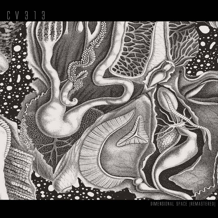 CV313 - Dimensional Space (Remastered) (New Vinyl)