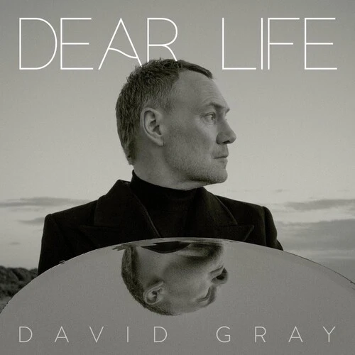 David Gray - Dear Life (New CD)