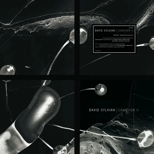 David Sylvian - Camphor II (2LP) (RSD 2025) (New Vinyl)