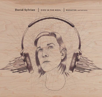 David Sylvian - Died In The Wool (2LP) (New Vinyl)