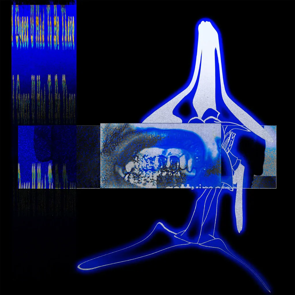 Elucid & Sebb Bash - I Guess U Had To Be There (Transparent Clear Vinyl) (New Vinyl)