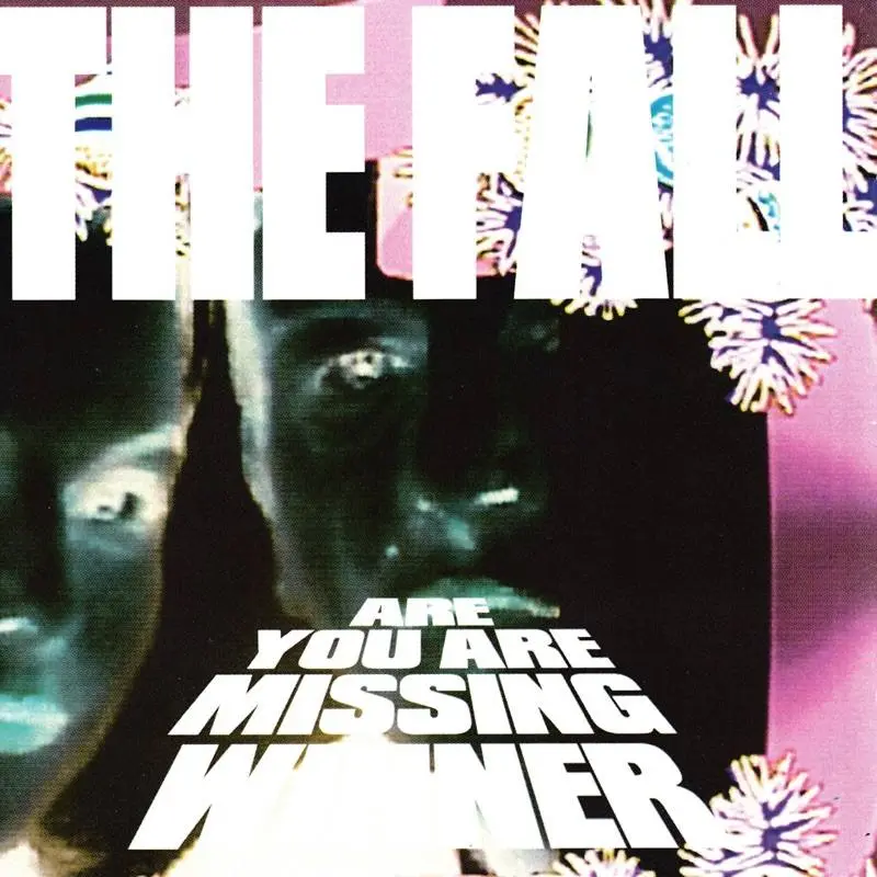Fall - Are You Are Missing Winner (Pink & Black Swirl Vinyl) (RSD 2026) (New Vinyl)