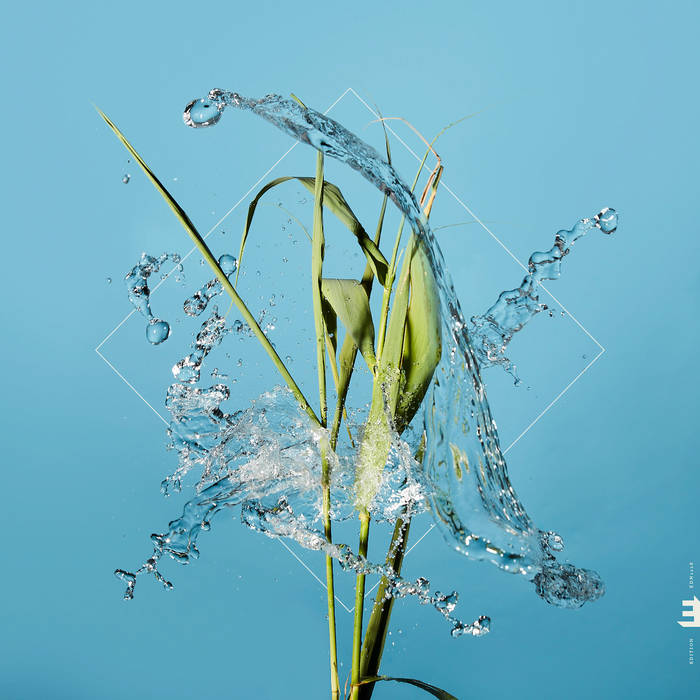 Fergus McCreadie - Stream (New CD)