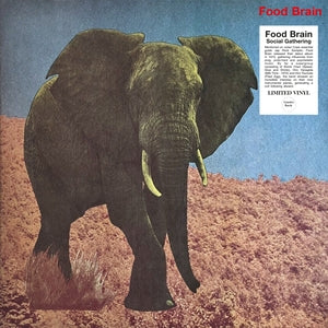 Food Brain - Social Gathering (New Vinyl)