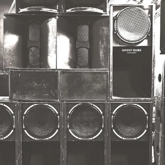 Ghost Dubs - Damaged (New Vinyl)