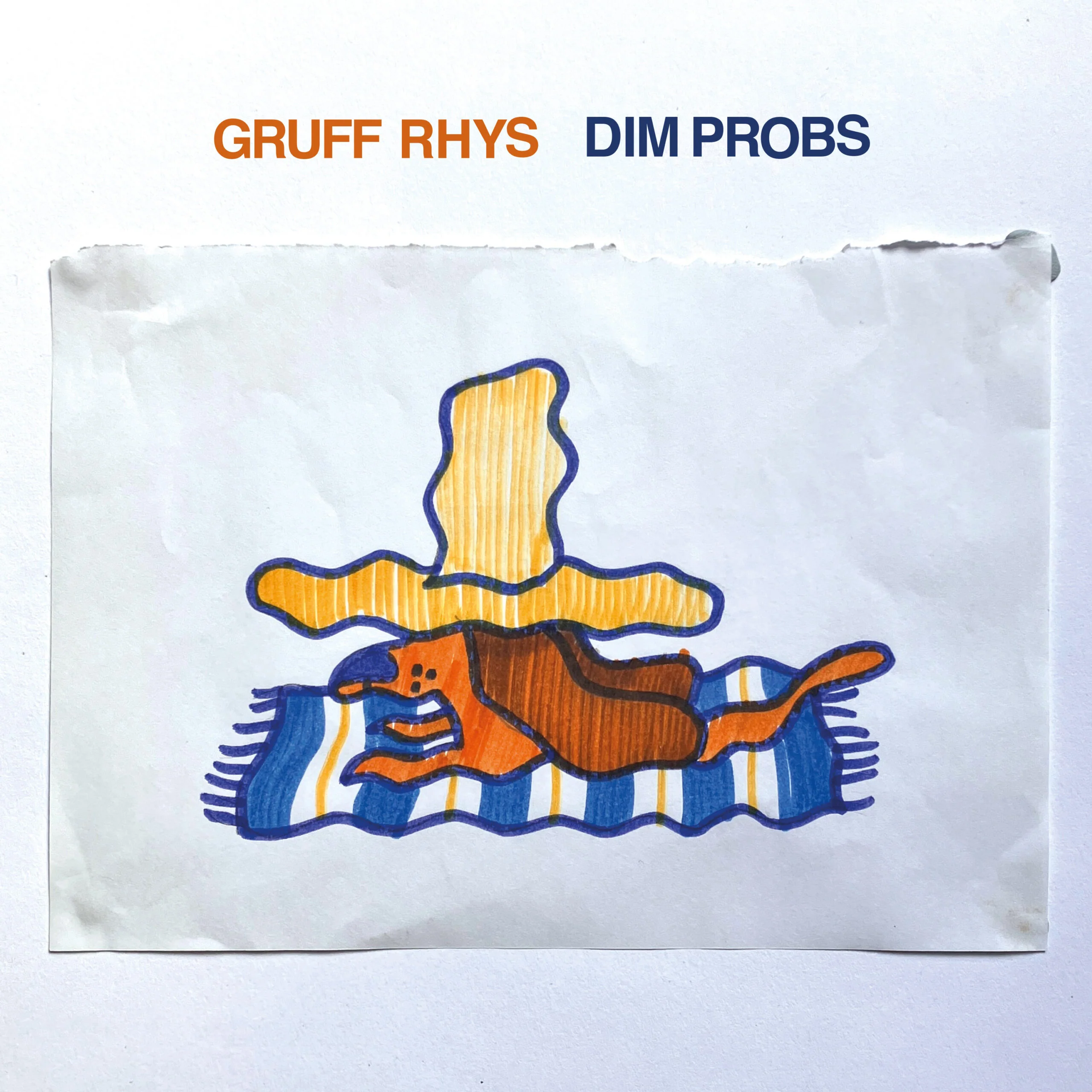 Gruff Rhys - Dim Probs (New Cassette)