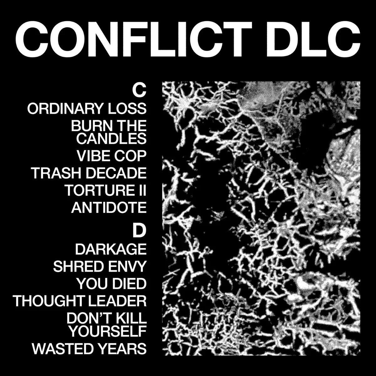 Health - Conflict DLC (New Vinyl)