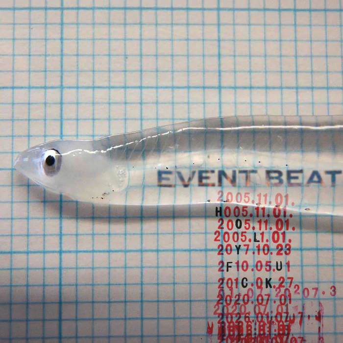 Holy Fuck - Event Beat (New Vinyl)