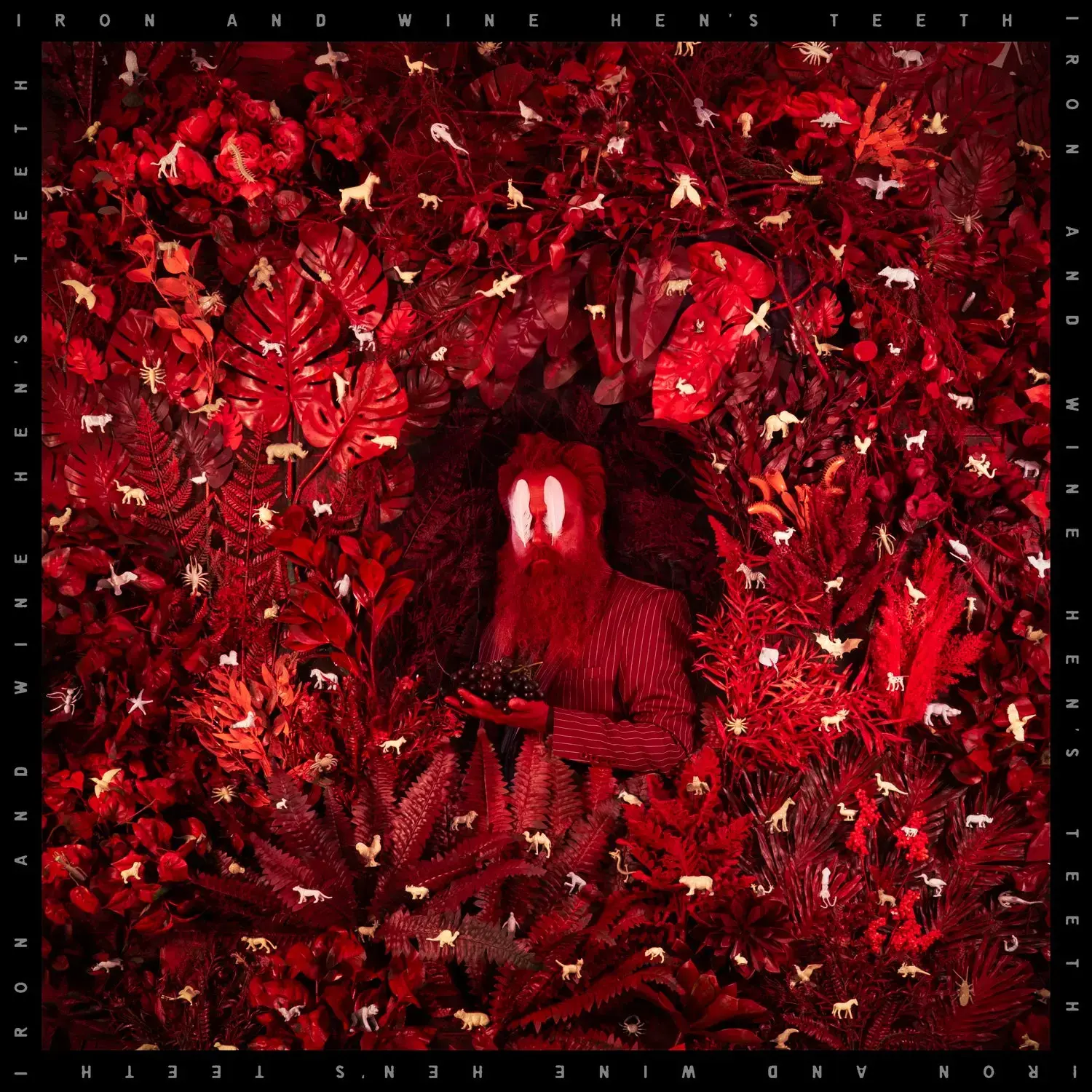 Iron & Wine - Hen's Teeth (Loser Edition/Coloured Vinyl) (New Vinyl)