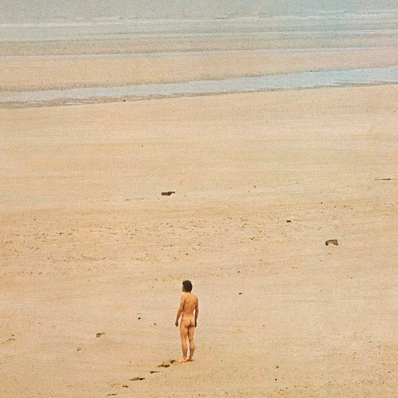 Jean-Claude Vannier - L'Enfant Assassin Des Mouches (New Vinyl)