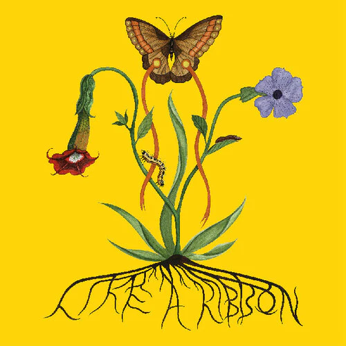 John Glacier - Like A Ribbon (New CD)