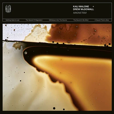 Kali Malone & Drew Mcdowall - Magnetism (New CD)