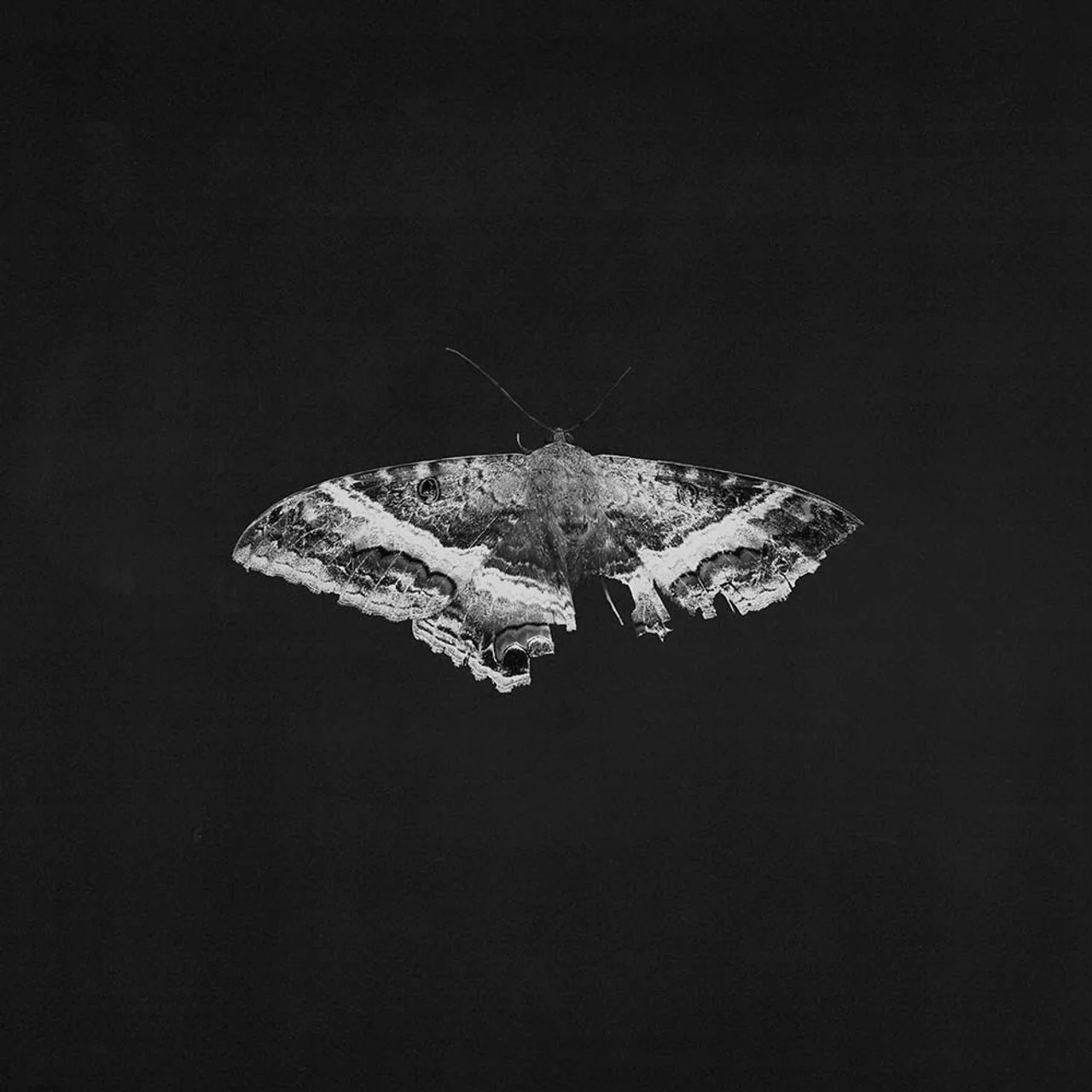 Kendrick Lamar - To Pimp A Butterfly (10th Anniversary Edition) (2LP) (New Vinyl)