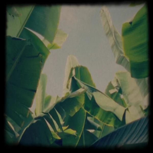 Lagoss - Platano Tapes (New Cassette)