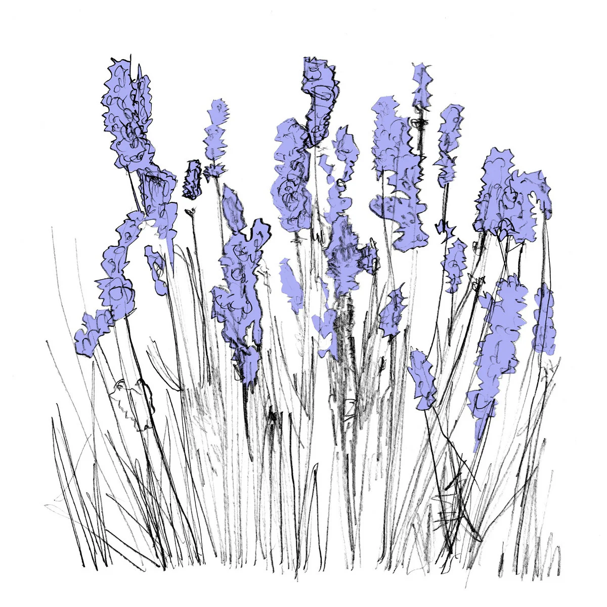 Lapalace - Music To Watch Seeds Grow By 006: Lapalace (Lavender) (New Cassette)