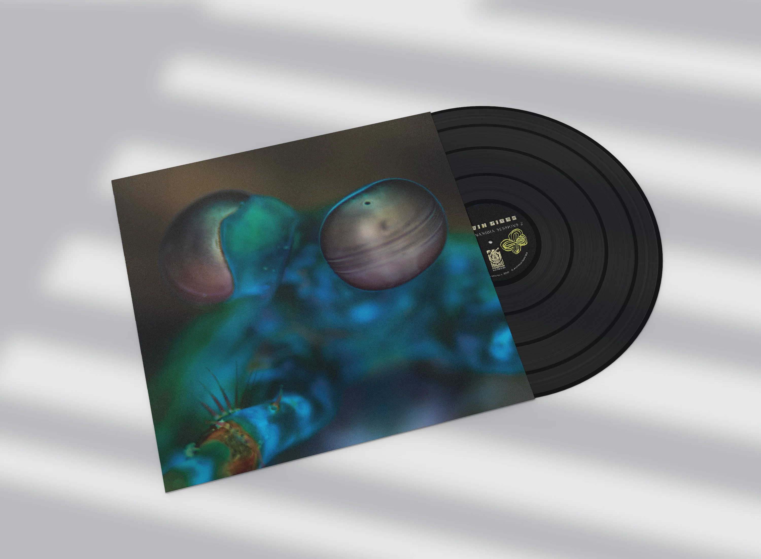 Melvin Gibbs - Amasia: Anamibia Sessions 2 (New Vinyl) - Image 2