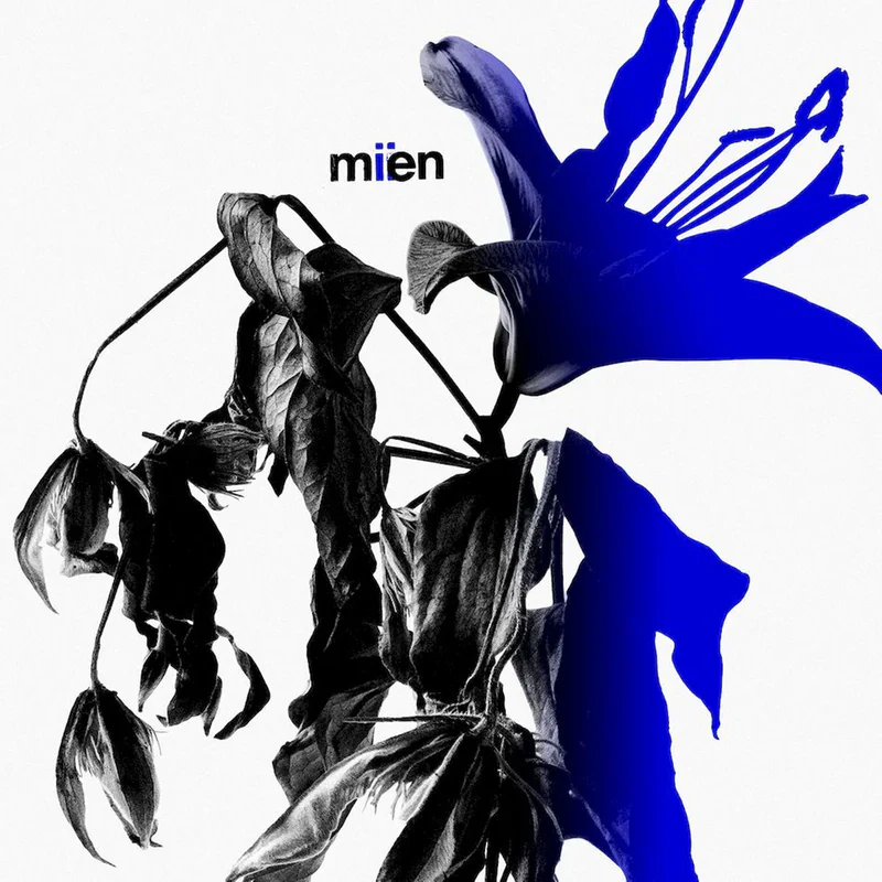Mien - Miien (Colour Vinyl) (New Vinyl)