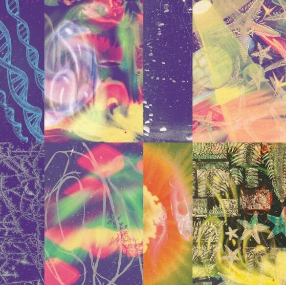 Nap Eyes - The Neon Gate (New Vinyl)