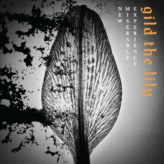 New Miserable Experience - Gild The Lily (New Vinyl)