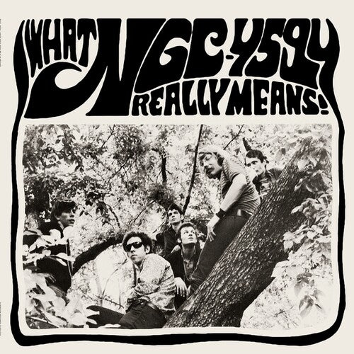 NGC-4594 - What NGC 4594 Really Means! (New Vinyl)