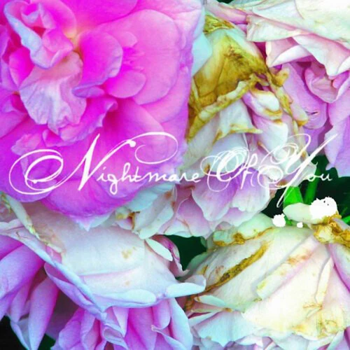 Nightmare Of You - Nightmare Of You (New Vinyl)