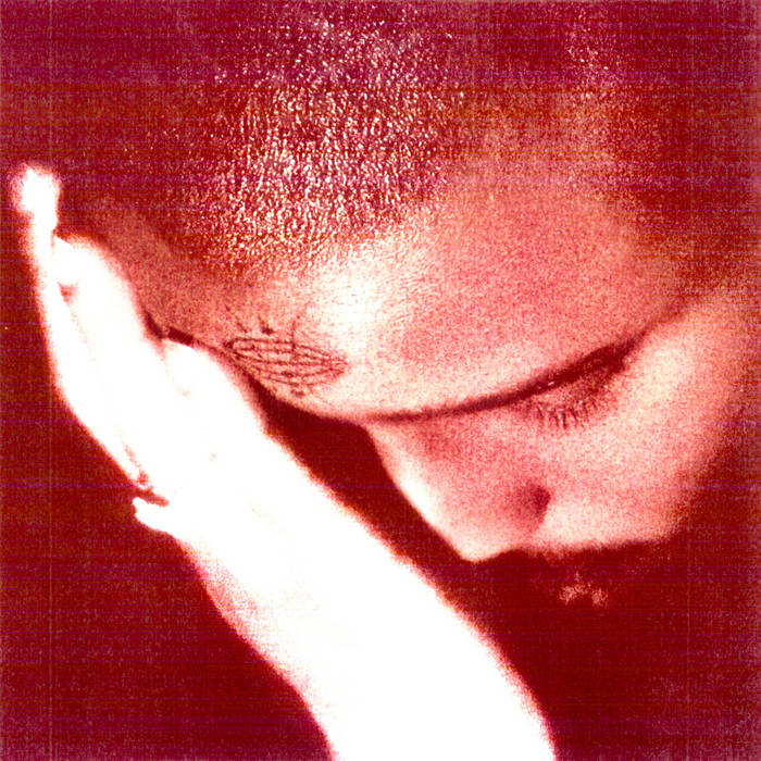 Nourished By Time - The Passionate Ones (Indie Shop Edition Clear Vinyl) (New Vinyl)
