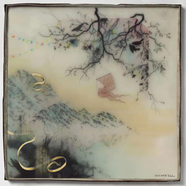 Novo Amor - Birthplace (New CD)