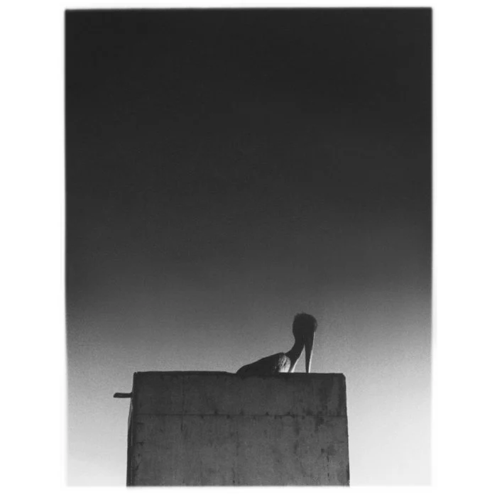Ø (Mika Vainio) - Sysivalo (w/ CD) (New Vinyl)