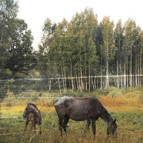 Pianos Become The Teeth - Old Pride (Forest Green Vinyl) (New Vinyl)