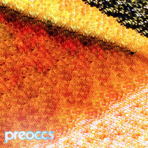 Preoccupations- Mur/ponr (New Vinyl)