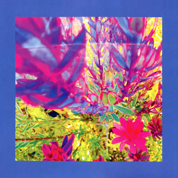 Reds, Pinks & Purples - Past Is A Garden I Never Fed (Pink Colour) (New Vinyl)