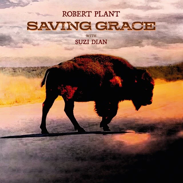 Robert Plant - Saving Grace (New Vinyl)