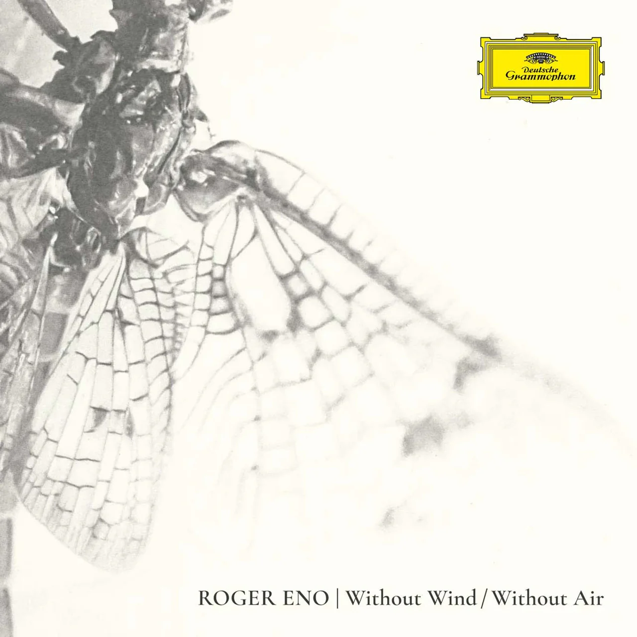 Roger Eno - Without Wind Without Air (New Vinyl)