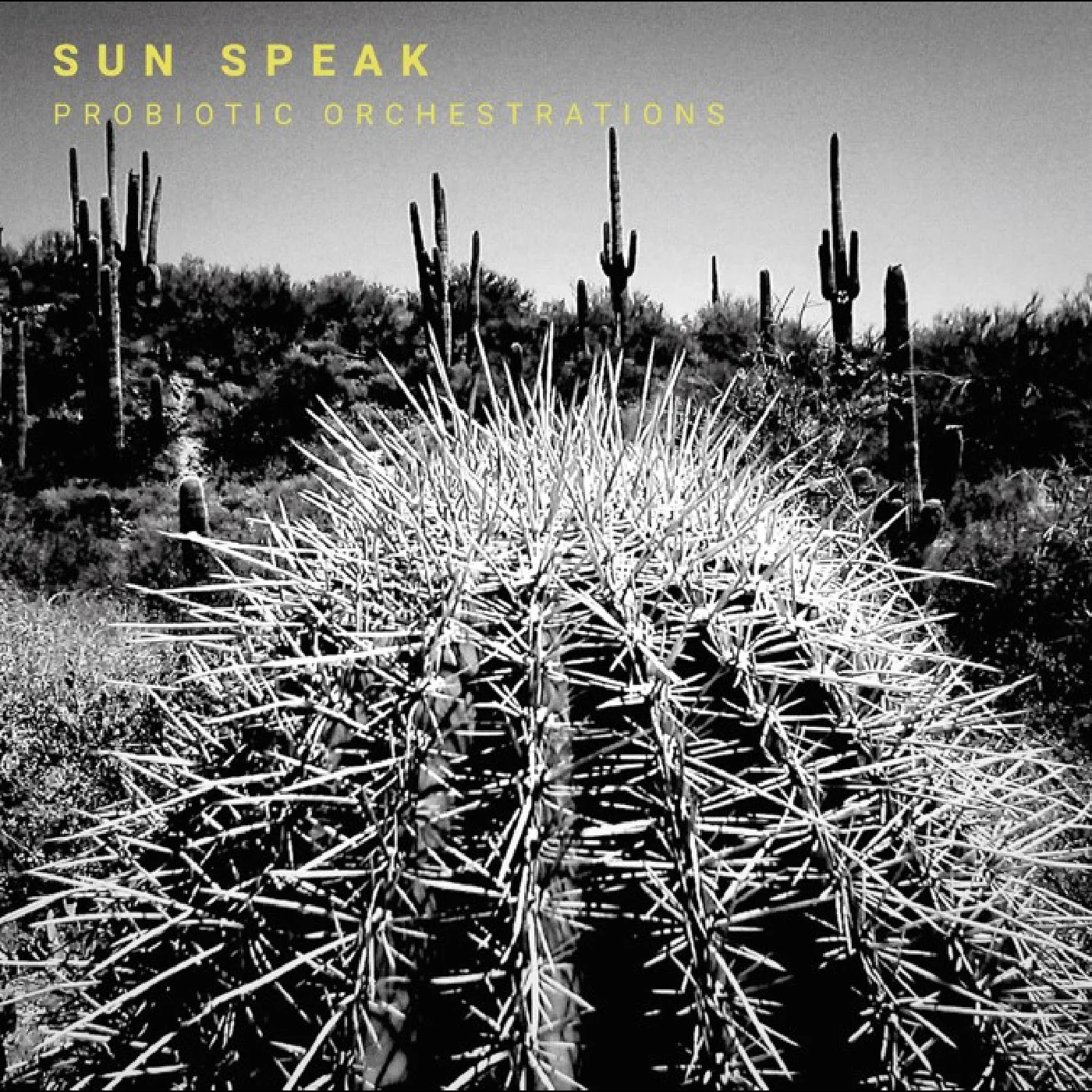 Sun Speak - Probiotic Orchestrations (New Vinyl)