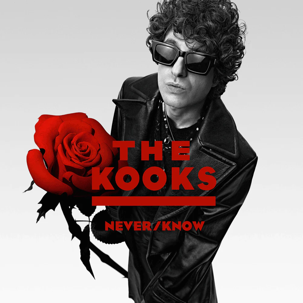 The Kooks - Never/Know (New CD)