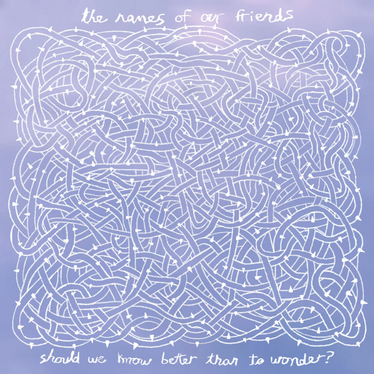 The Names Of Our Friends - Should We Know Better Than To Wonder? (10") (New Vinyl)