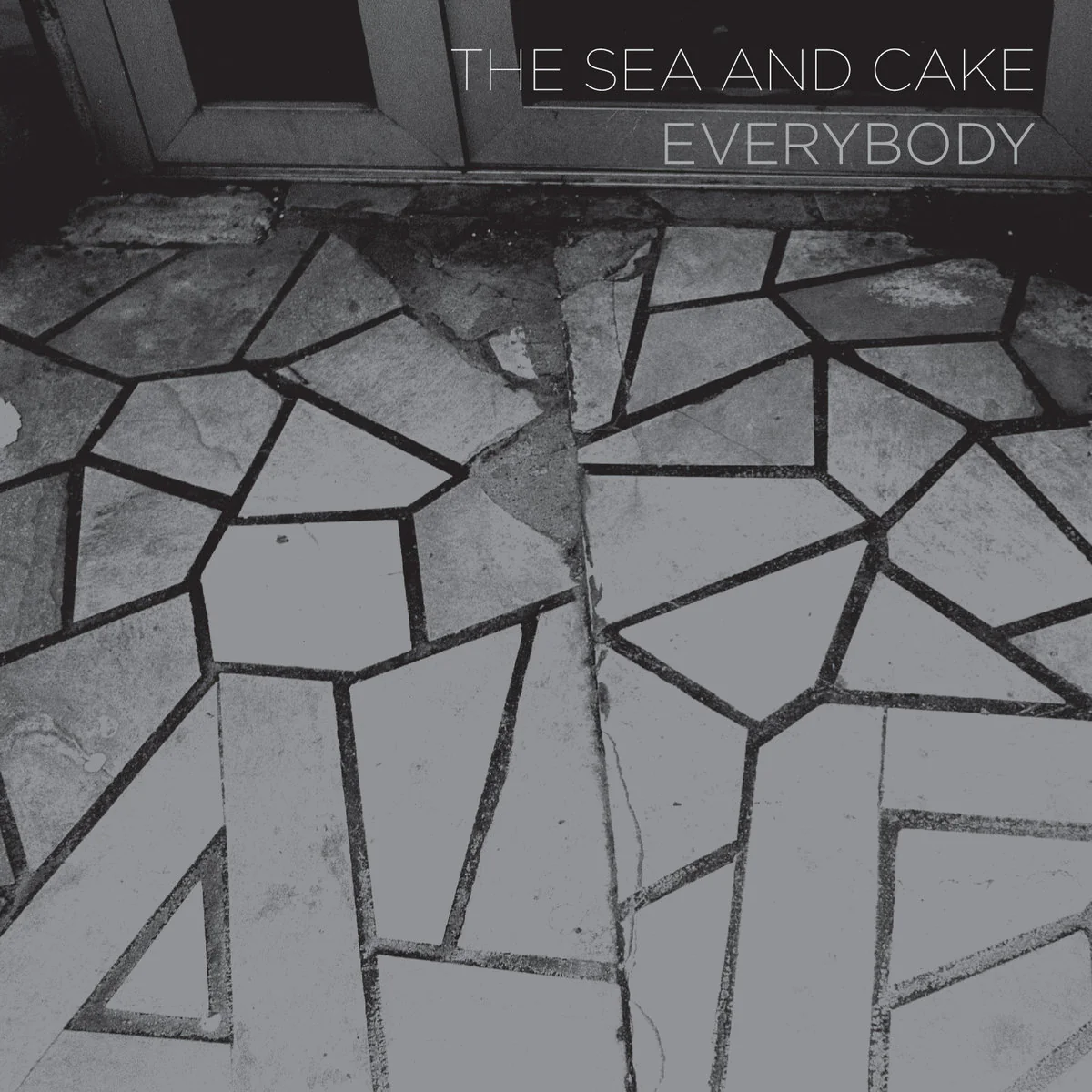 The Sea and Cake - Everybody (Aluminum Colour Vinyl) (New Vinyl)