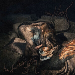 The Weather Station - Humanhood (New CD)