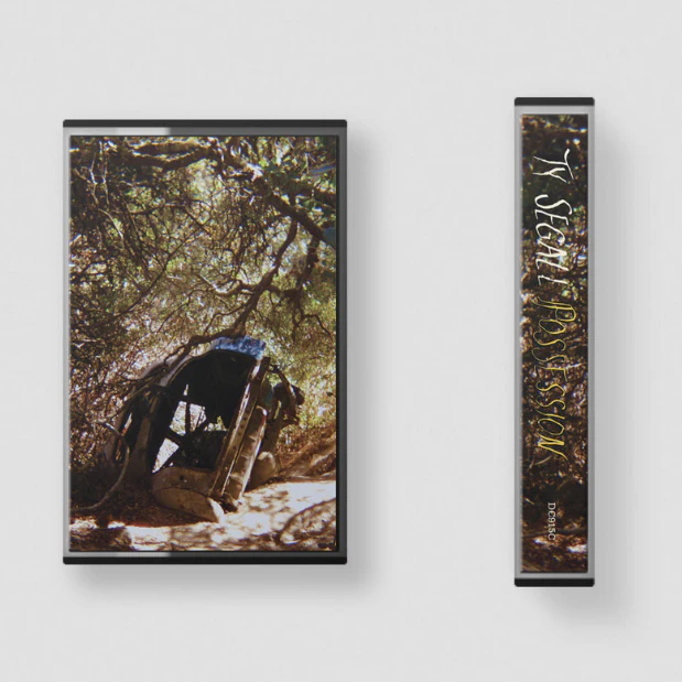 Ty Segall - Possession (New Cassette)