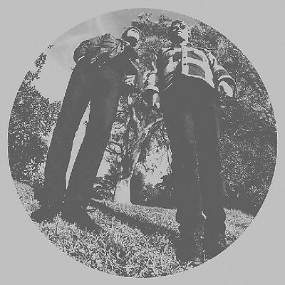 Ty Segall & White Fence - Hair (New Cassette)