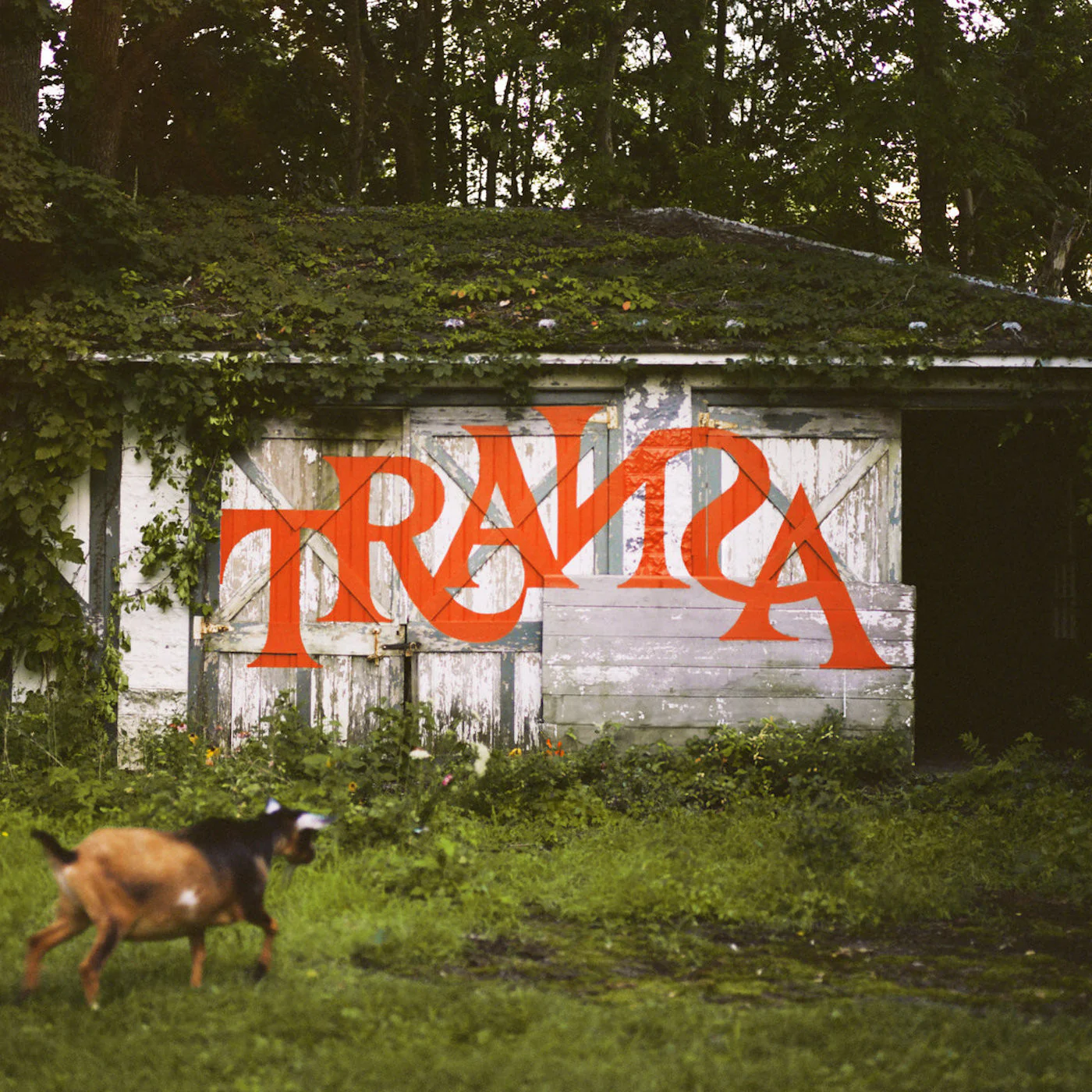 Various Artists - Transa (6LP/Deluxe Edition) (New Vinyl)